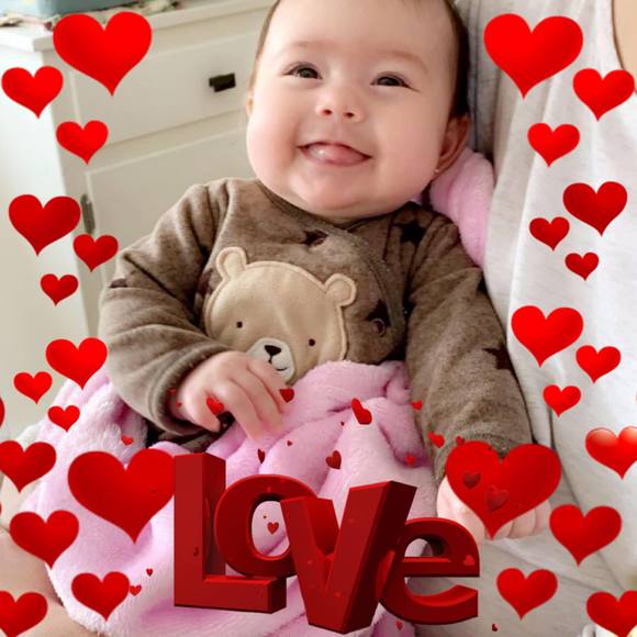 Meet your Posher, Odie - Picture 1 of 1